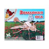 Оса