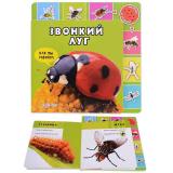 Звонкий луг ( как мы говорим )