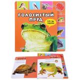 Голосистый пруд ( как мы говорим)